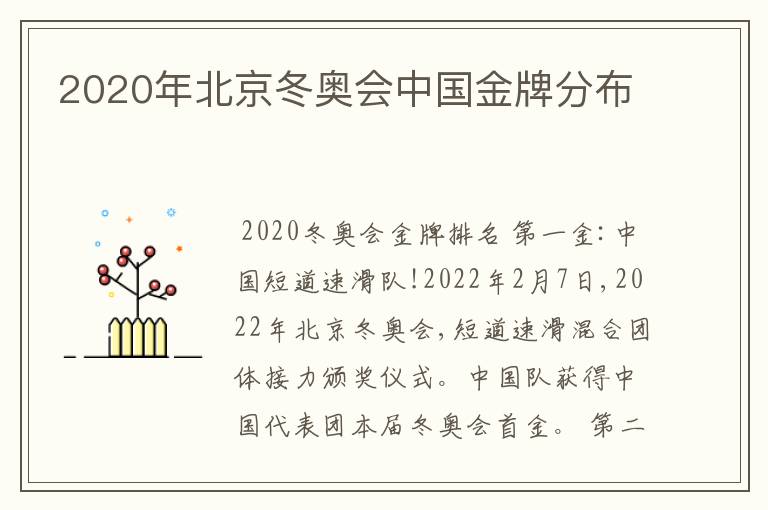 2020年北京冬奥会中国金牌分布