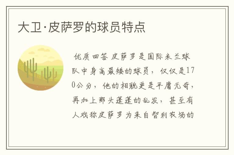 大卫·皮萨罗的球员特点