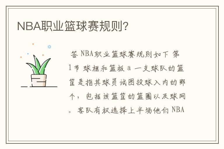 NBA职业篮球赛规则?