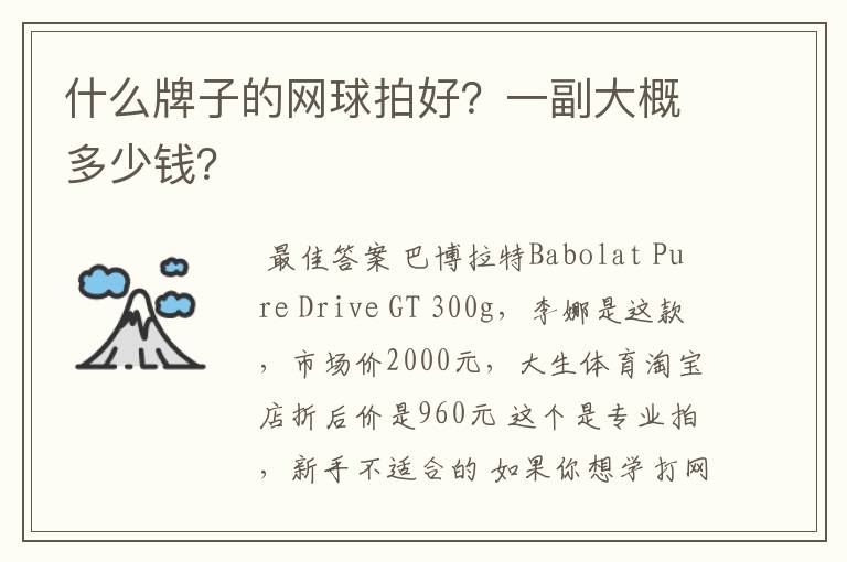 什么牌子的网球拍好？一副大概多少钱？