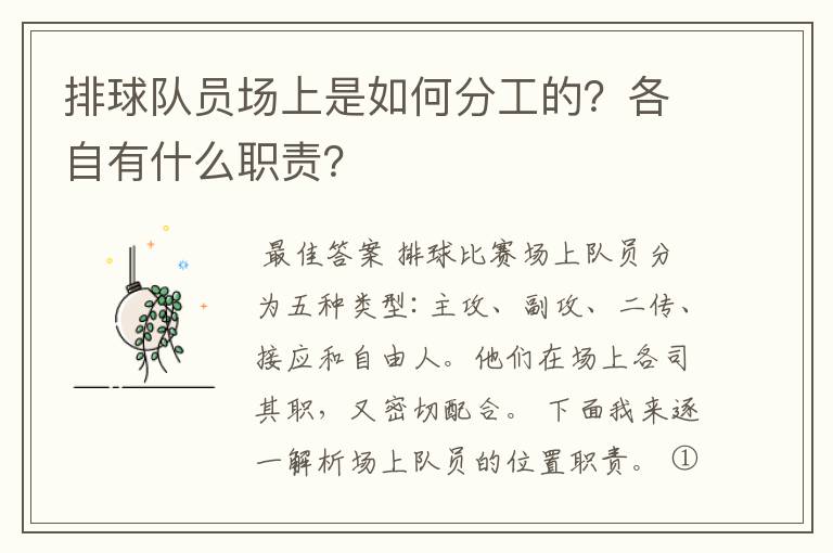 排球队员场上是如何分工的？各自有什么职责？