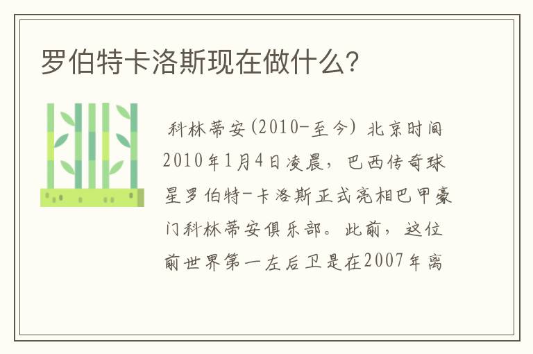 罗伯特卡洛斯现在做什么？