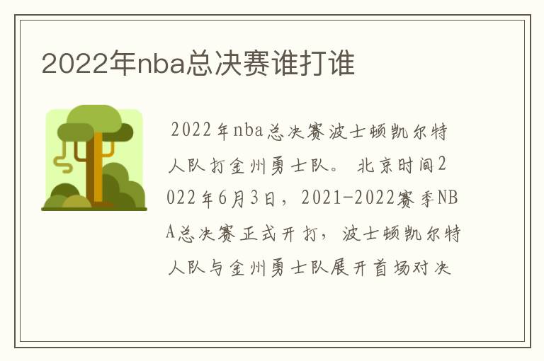 2022年nba总决赛谁打谁