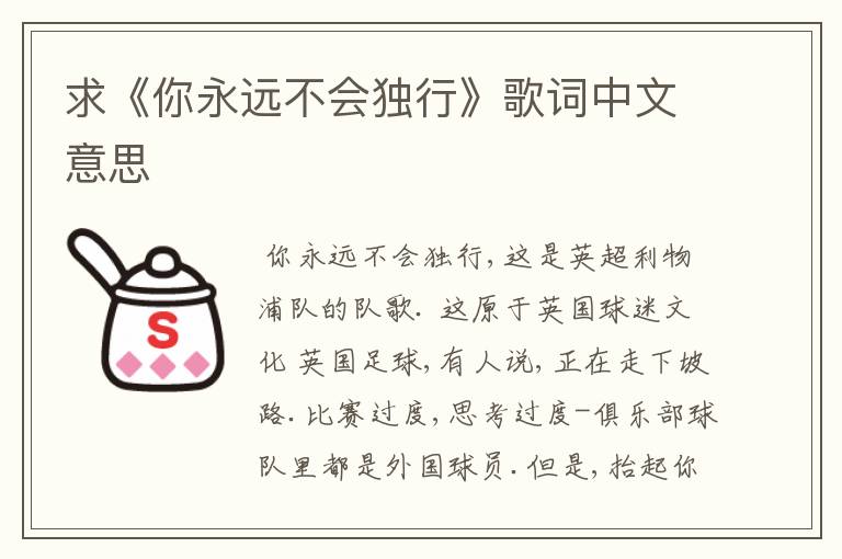 求《你永远不会独行》歌词中文意思