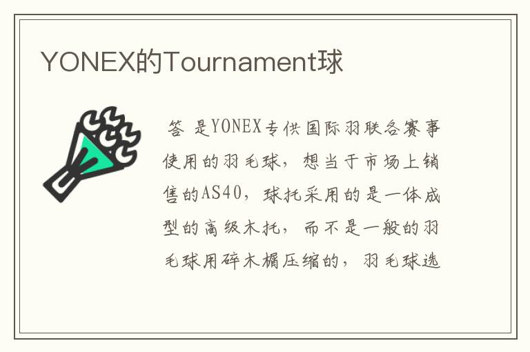 YONEX的Tournament球