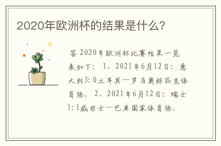 2020年欧洲杯的结果是什么？