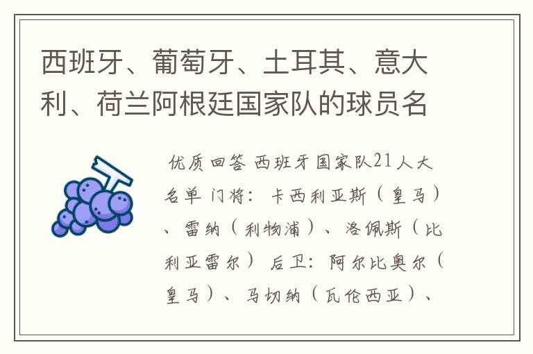 西班牙、葡萄牙、土耳其、意大利、荷兰阿根廷国家队的球员名单