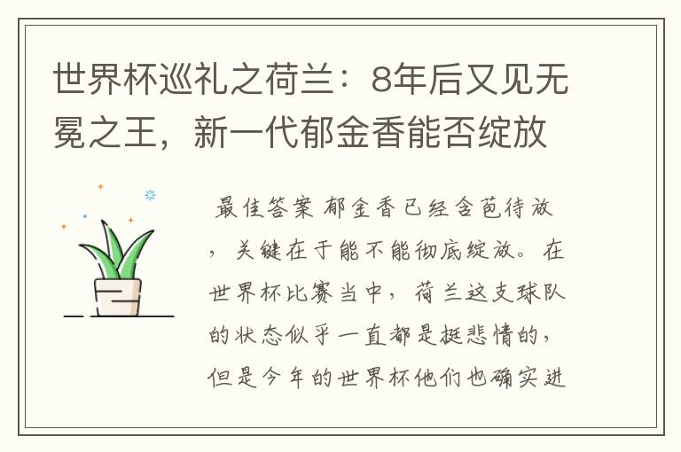 世界杯巡礼之荷兰：8年后又见无冕之王，新一代郁金香能否绽放？