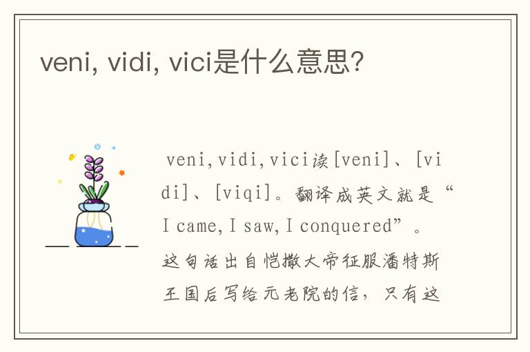 veni, vidi, vici是什么意思？