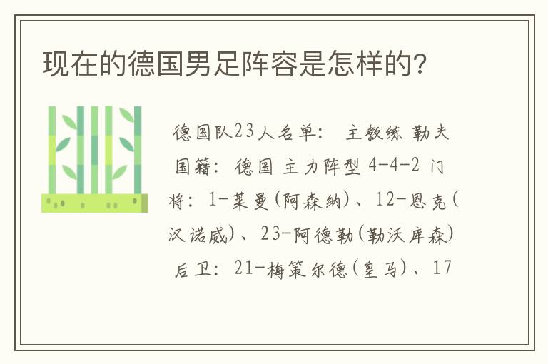 现在的德国男足阵容是怎样的?