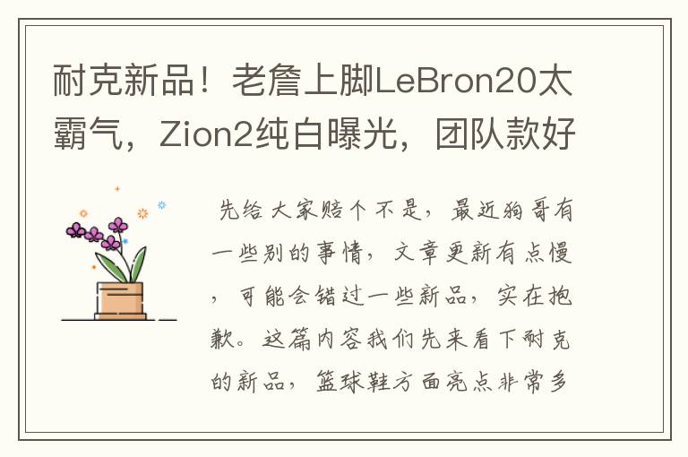 耐克新品！老詹上脚LeBron20太霸气，Zion2纯白曝光，团队款好帅