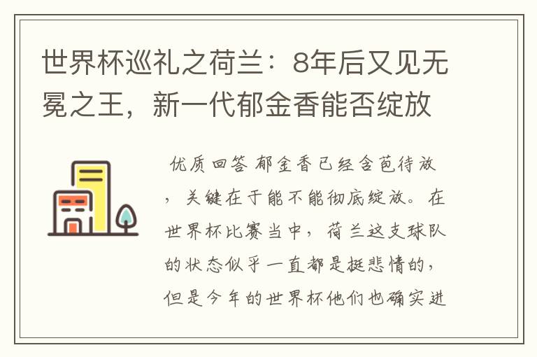 世界杯巡礼之荷兰：8年后又见无冕之王，新一代郁金香能否绽放？