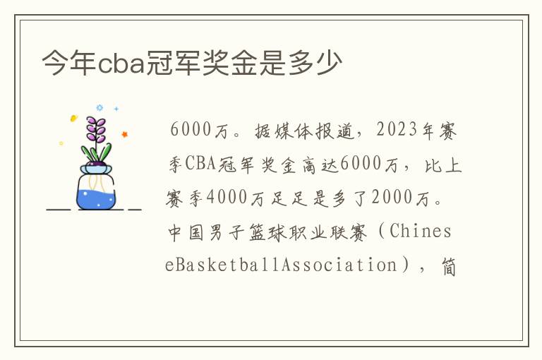 今年cba冠军奖金是多少