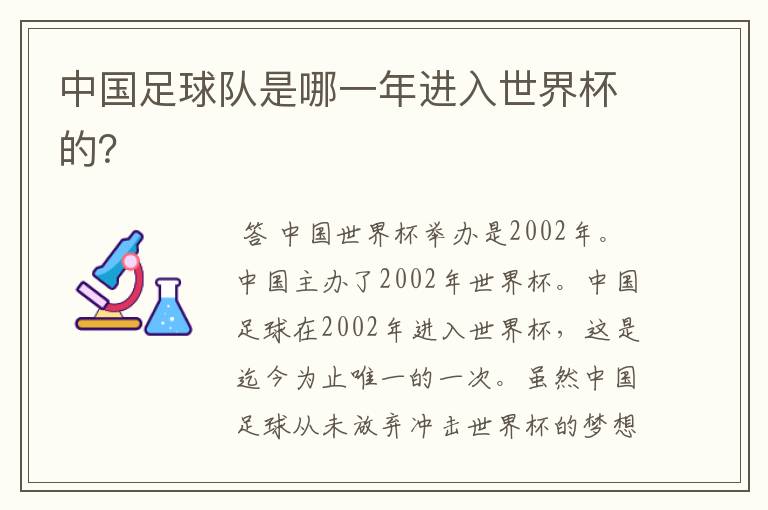 中国足球队是哪一年进入世界杯的？