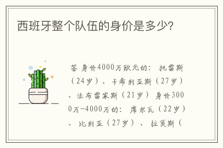 西班牙整个队伍的身价是多少？