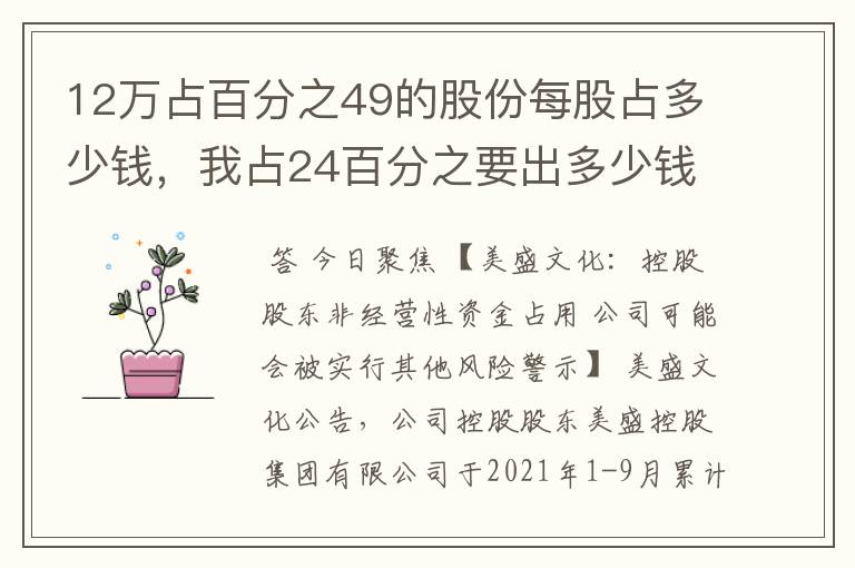 12万占百分之49的股份每股占多少钱，我占24百分之要出多少钱？