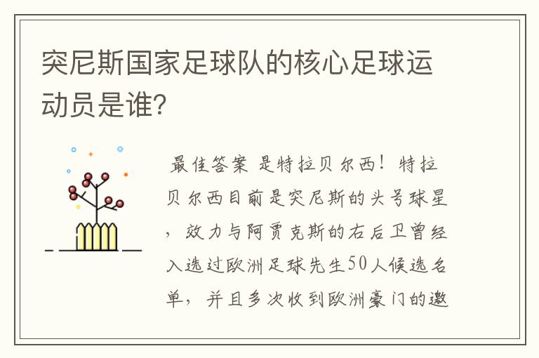 突尼斯国家足球队的核心足球运动员是谁？