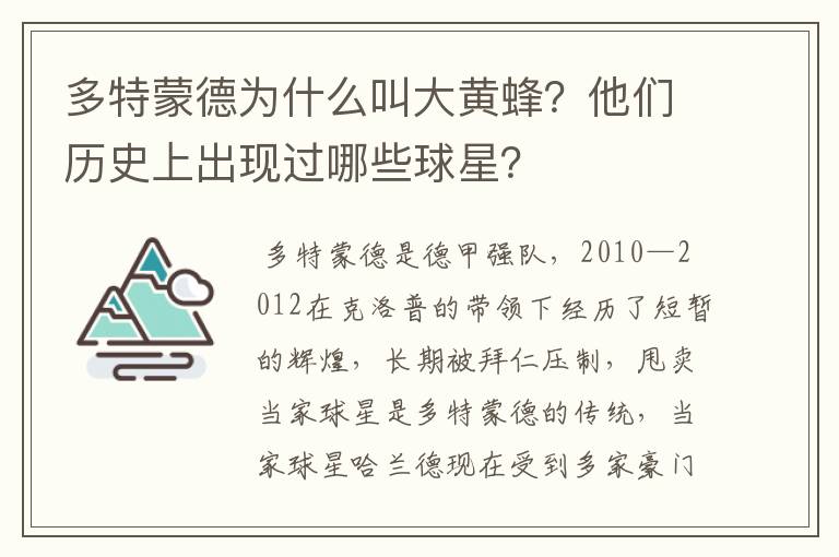 多特蒙德为什么叫大黄蜂？他们历史上出现过哪些球星？