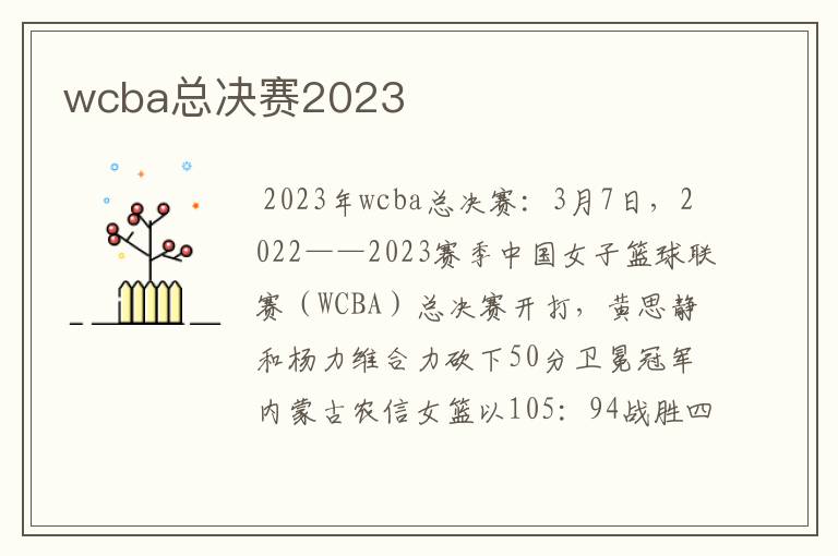 wcba总决赛2023