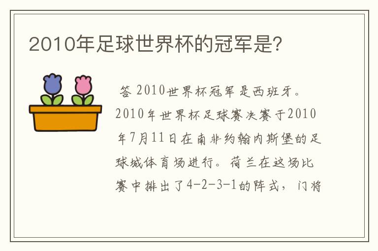 2010年足球世界杯的冠军是？