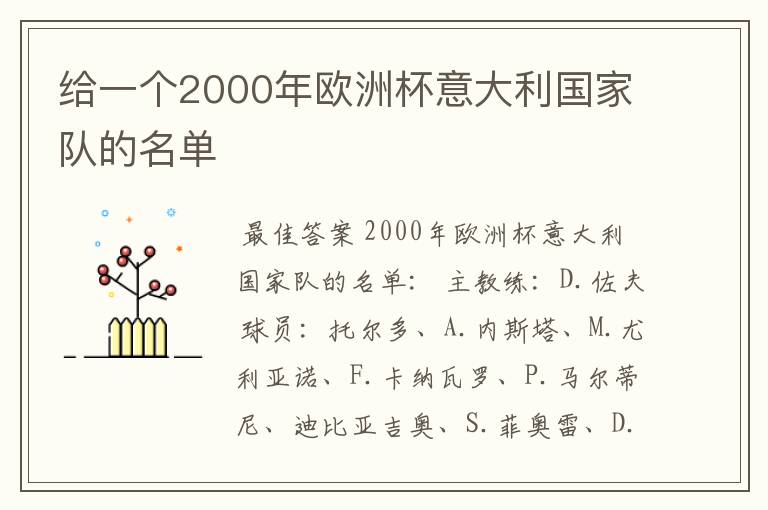 给一个2000年欧洲杯意大利国家队的名单