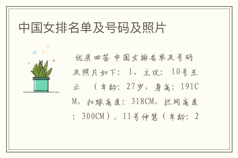 中国女排名单及号码及照片