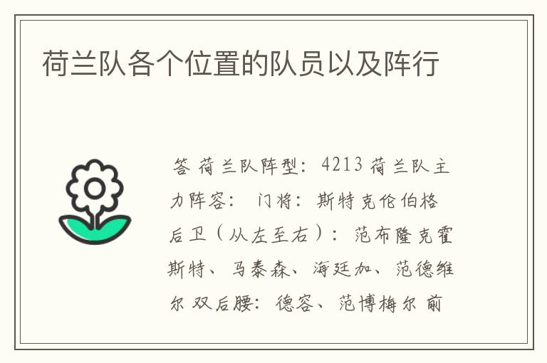 荷兰队各个位置的队员以及阵行