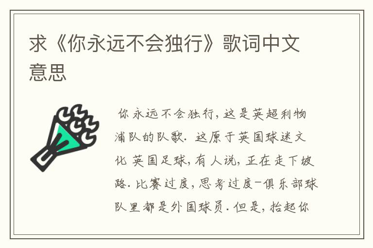 求《你永远不会独行》歌词中文意思