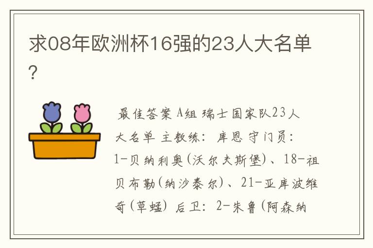 求08年欧洲杯16强的23人大名单？