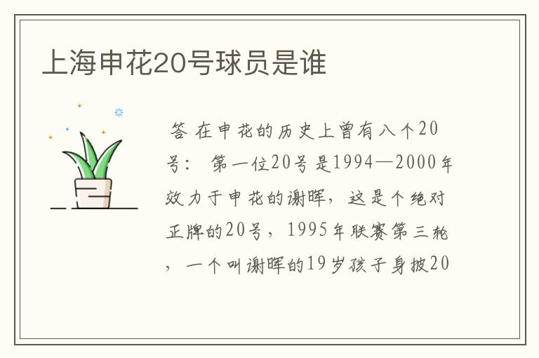 上海申花20号球员是谁