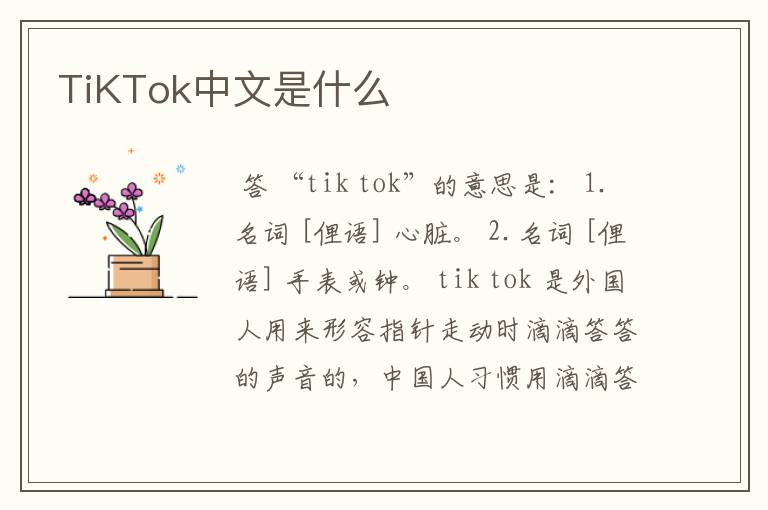 TiKTok中文是什么