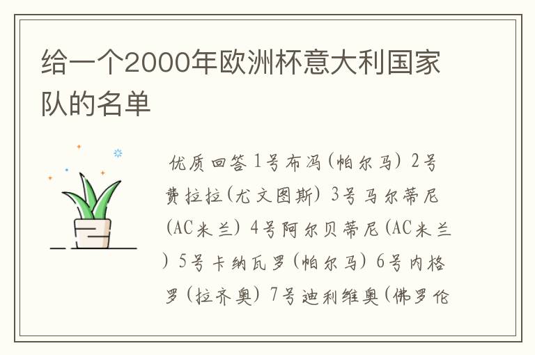 给一个2000年欧洲杯意大利国家队的名单