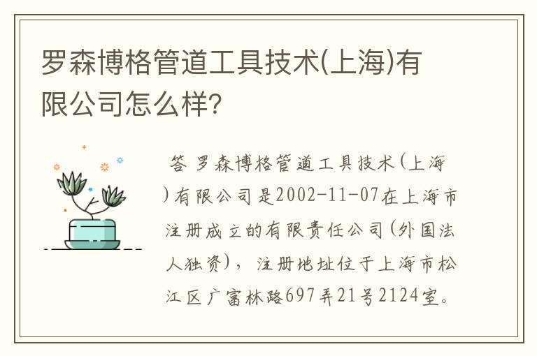 罗森博格管道工具技术(上海)有限公司怎么样？