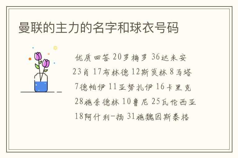 曼联的主力的名字和球衣号码
