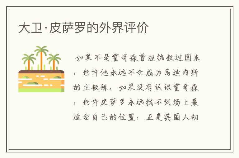 大卫·皮萨罗的外界评价