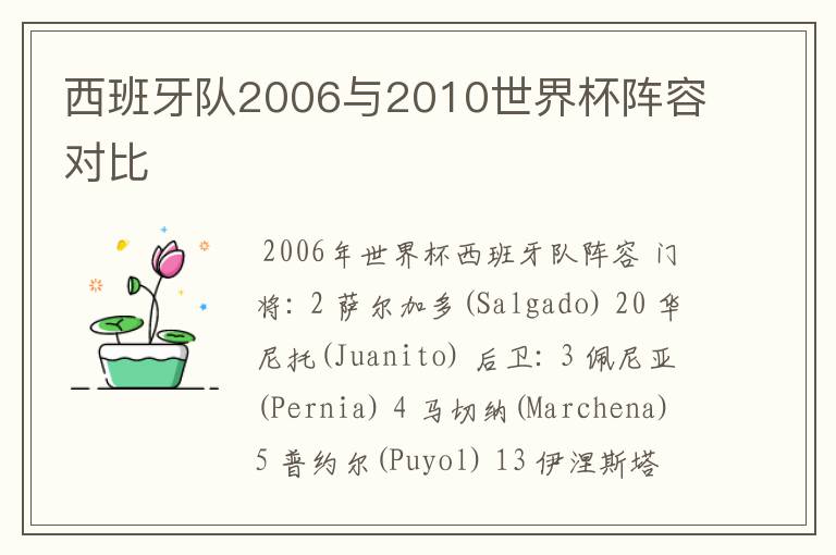 西班牙队2006与2010世界杯阵容对比