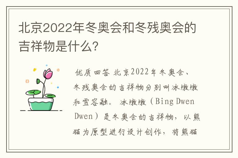 北京2022年冬奥会和冬残奥会的吉祥物是什么？