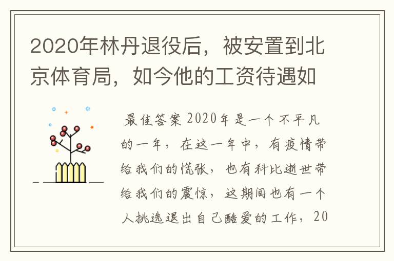 2020年林丹退役后，被安置到北京体育局，如今他的工资待遇如何？