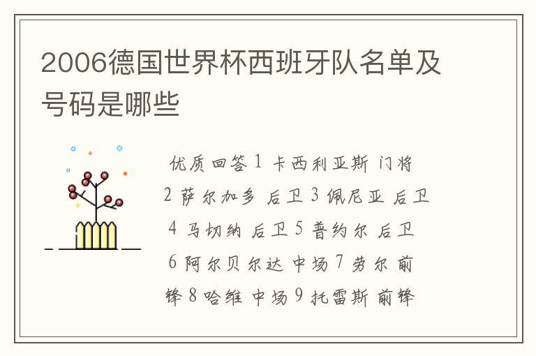 2006德国世界杯西班牙队名单及号码是哪些