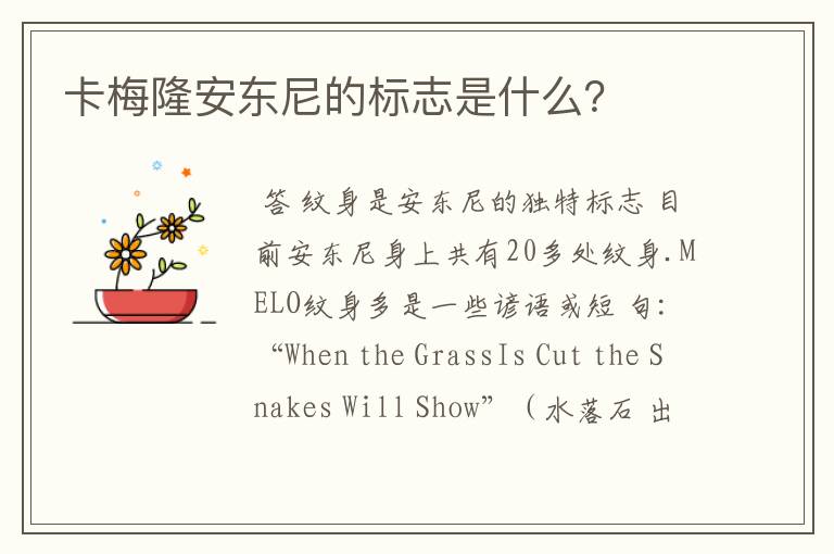 卡梅隆安东尼的标志是什么?