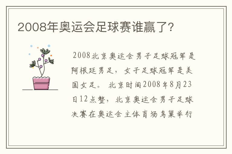 2008年奥运会足球赛谁赢了?