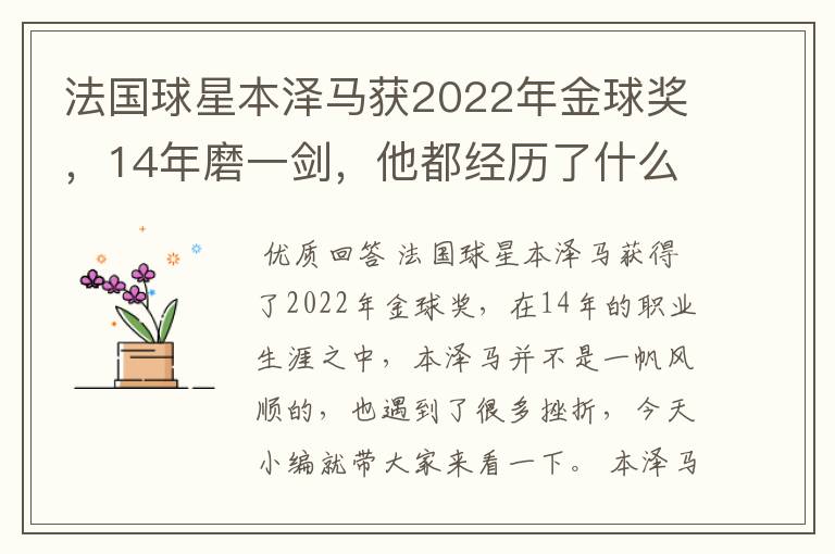 法国球星本泽马获2022年金球奖，14年磨一剑，他都经历了什么？