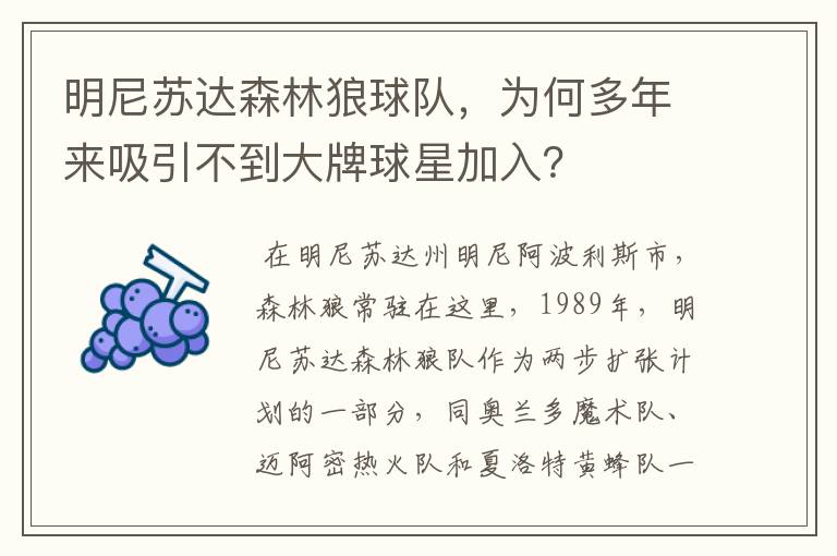 明尼苏达森林狼球队，为何多年来吸引不到大牌球星加入？