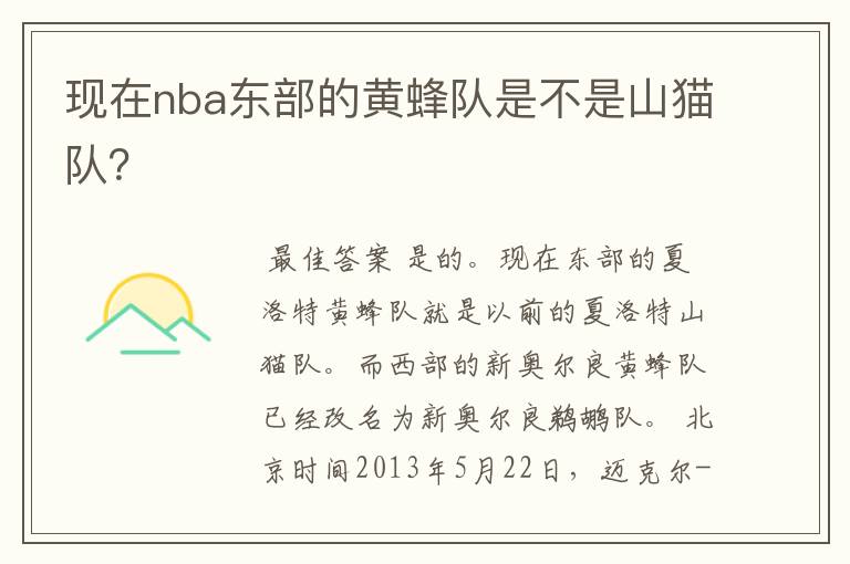 现在nba东部的黄蜂队是不是山猫队？