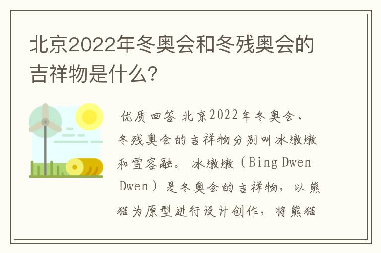 北京2022年冬奥会和冬残奥会的吉祥物是什么？