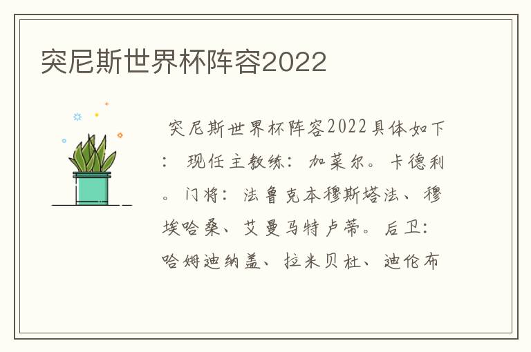 突尼斯世界杯阵容2022