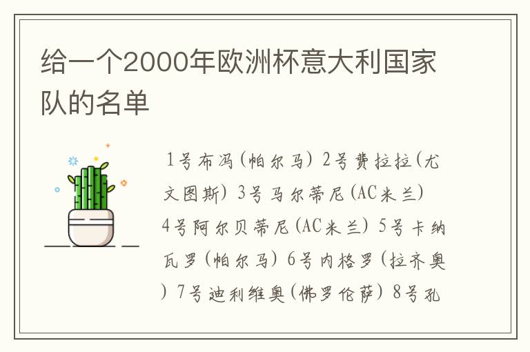 给一个2000年欧洲杯意大利国家队的名单