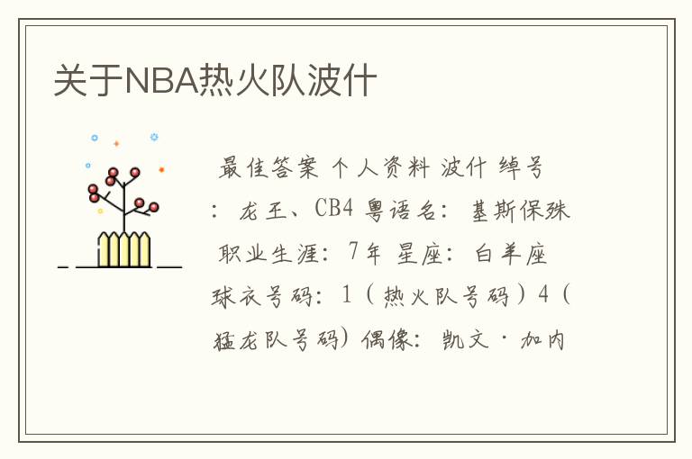 关于NBA热火队波什