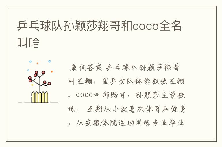 乒乓球队孙颖莎翔哥和coco全名叫啥