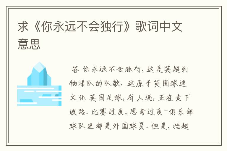 求《你永远不会独行》歌词中文意思